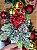 Galho Pinheiro Frutas Pinha Natal Vermelho Verde 20cm 1un - Imagem 2