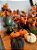 Abóbora Decorativa Respingo Halloween 4UN - Imagem 3