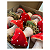 Cogumelo Decorativo Veludo Vermelho Páscoa Bosque 14cm 1Un - Imagem 4