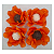 Forminha P/ Doces Flavia Laranja 20Un - Imagem 2