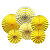 Kit Enfeite Leque de Papel 20/30/40cm 6un - Amarelo - Imagem 1