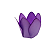 Forminha P/ Doces Tulipa Lilás 30Un - Imagem 1