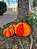 Enfeite Decorativo de Papel Abóboras Halloween 3Un - Imagem 3