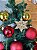 Enfeite de Pendurar Floco de Neve Dourado Arvore Natal 1Un - Imagem 3