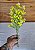 Flor Artificial Decorativa Carinho de Mãe Amarela 35cm 1Un - Imagem 3
