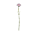 Flor Artifical Decorativa Cravo Rosa 58cm 1un - Imagem 1
