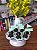 Toppers P/ Doces e Cupcakes Color Verde Candy 6Un - Imagem 3