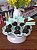 Toppers P/ Doces e Cupcakes Color Verde Candy 6Un - Imagem 2
