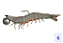 Camarão Camalouco 23cm 260g - Imagem 6