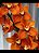 Marcador cymbidium - M-001 - Imagem 2