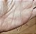 Pug - Imagem 2