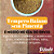 Tempero Baiano Moído Sem Pimenta - Imagem 3