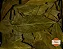 Folha de Louro Premium / Louro em Pó - Imagem 2