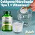 Colágeno Hidrolisado 280g Gelnex + Vitamina C e Zinco 900mg Fitoplant - Imagem 1