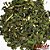 Erva Mate Verde (Ilex Paraguariensis) 80g - Imagem 2