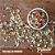 Chimichurri com Pimenta - Imagem 4