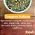 Tempero Italiano - Imagem 3