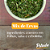 Mix de Ervas (Cheiro Verde) - Imagem 3