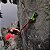 Clip Stick BetaStick EVO Climbing Designs-SuperStandard - Imagem 12