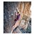 Cadeirinha de Escalada Momentum Feminino Black Diamond - Imagem 7