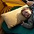 Travesseiro de Espuma Foam Core Pillow Extra Large Sea To Summit - Imagem 5