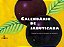 Calendário de jabuticaba - Imagem 1