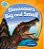 Dinosaurs Big And Small - Imagem 1