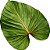 JOGO AMERICANO - FOLHA GAIA - Imagem 1