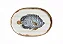 TRAVESSA MEDIA FISH STRIPES PEIXE - Imagem 1