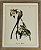 QUADRO GRAVURA FLYCATCHER E FLORES - Imagem 1