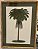QUADRO GRAVURA PALM COM PASPATUR VERDE E MOLDURA BAMBU - Imagem 1