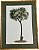 QUADRO GRAVURA PALM DAY COM PASPATUR VERDE E MOLDURA BAMBU - Imagem 1