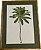 QUADRO GRAVURA PALM COCONUT COM PASPATUR VERDE E MOLDURA BAMBU - Imagem 1