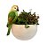 TRAVESSA / VASO P PÁSSARO VERDE CRISPIM - Imagem 1