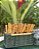 PORTA TALHER TRANCOSO FERRO BAMBU - VERDE MUSGO - Imagem 1
