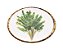 PRATO RASO DE MELAMINA PALM TREE BRANCO - 27CM - Imagem 2