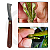 Kit Canivete Poda e Enxertia - Imagem 5