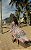 Saida Longa Resort - Leblon - Imagem 2