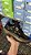 REEBOK CLUB C x CARDI B *sem caixa - Imagem 1