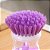 Escova De Limpeza Com Recipiente Para Detergente Multiuso Lava Louças - Imagem 5