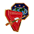 PIN - TRIANGULO SOBRE O GLOBO LÍDER - LD4 - DOURADO GRANDE - Imagem 1
