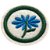 ESPECIALIDADE NATUREZA - FLORES - Imagem 1