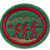 ESPECIALIDADE RECREATIVAS - LIDERANÇA SELVA AVANÇADO - Imagem 1