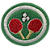ESPECIALIDADE RECREATIVAS - TENIS DE MESA - Imagem 1