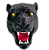 PRENDEDOR 3D - PANTERA - EDIÇÃO LIMITADA - Imagem 1