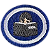 ESPECIALIDADE MISSIONÁRIAS - INTERPRETAÇÃO BÍBLICA - Imagem 1
