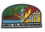 EMBLEMA DE CAMPO ANTIGO - 2ª e 3ª GERAÇÃO - SUL RIO-GRANDENSE - Imagem 1