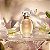 L'eau de Lily Desodorante Colônia 75ml - O Boticário - Imagem 4