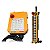 Controle Remoto Industrial Telecrane modelo:  F24-20S - Imagem 5