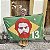 Bandeira Brasil Lula Metalúrgico 1.50m x 1.0m - Imagem 1
